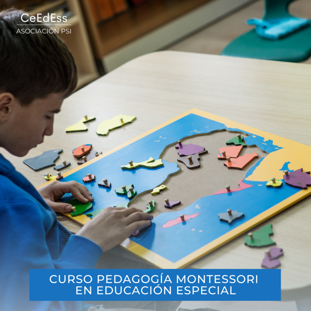 CeEdEss - Curso Pedagogía Montessori en Educación Especial CeEdEss - Curso Pedagogía Montessori en Educación Especial